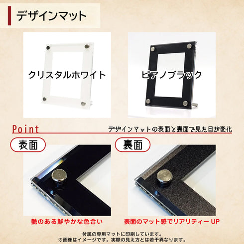 High-end-type レギオン フルプロテクトver ワンカラー