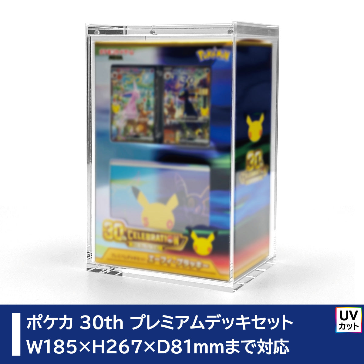 with:D | トレーディングカードディスプレイ | 新商品