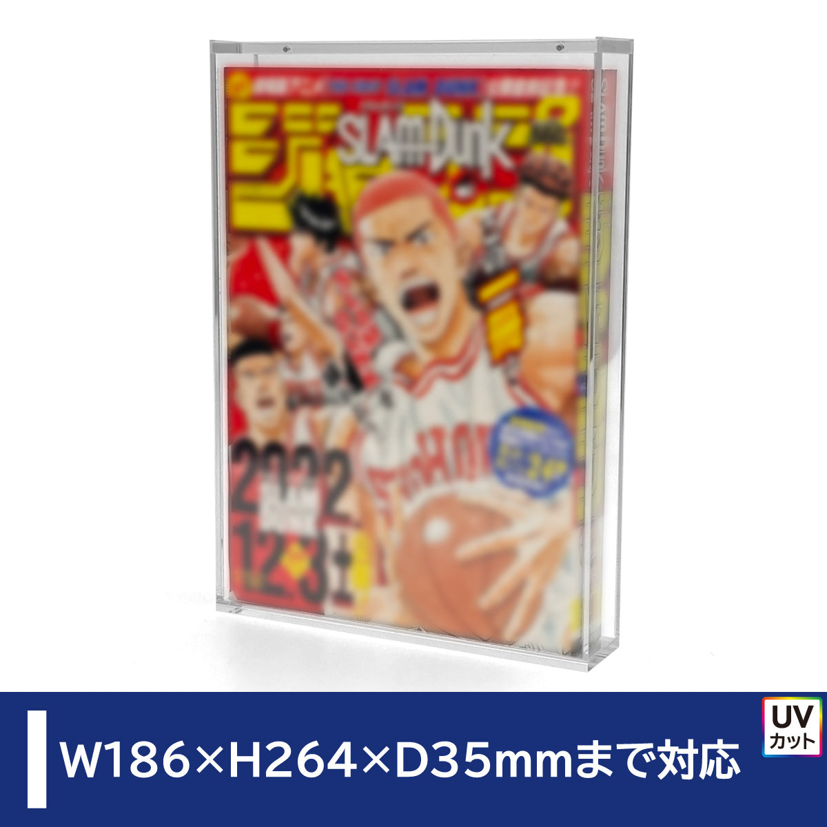 with:D | トレーディングカードディスプレイ | 新商品
